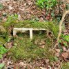 04 Aktion April 25 Feen und Wichtelwald